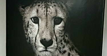 Cheetah Feature Wall Mural for Staircase Interior