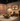 African-inspired luxury interior design featuring wood wall paneling, Africa silhouette shelving, sculptural decor, leather lounge chair, and organic coffee table in a warm, modern living space.
