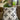 Basotho Heritage Cushions Monochrome Blanket Motif 60cm x 60cm