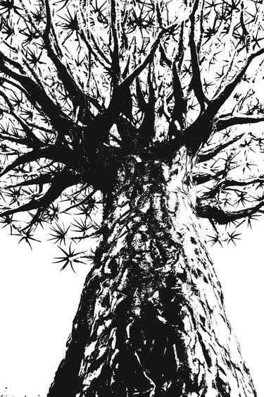 A black and white stylised print of a quiver tree.